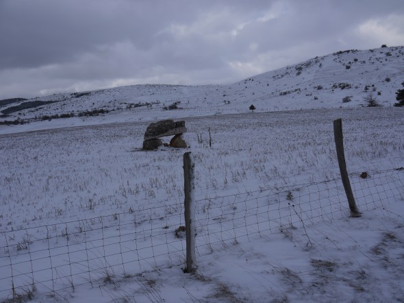 AIE AIE ça se gatte ....