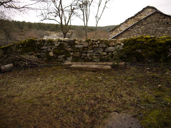 il ne manque que la mousse ... sur le mur !