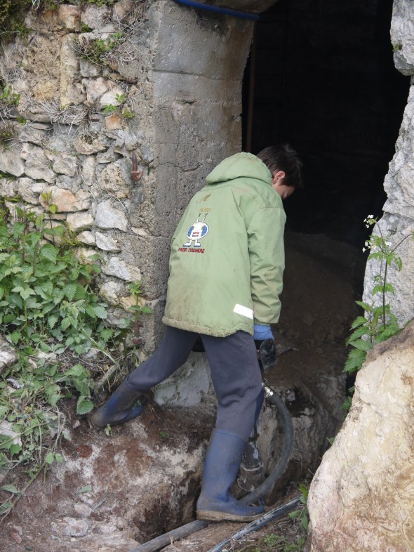 LÉON au marteau ...