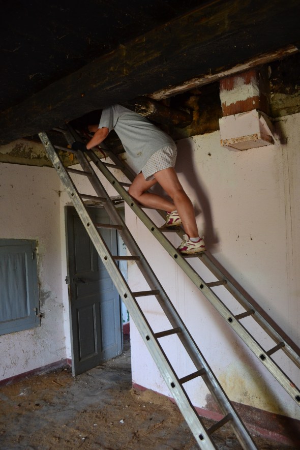 un peu de poussière