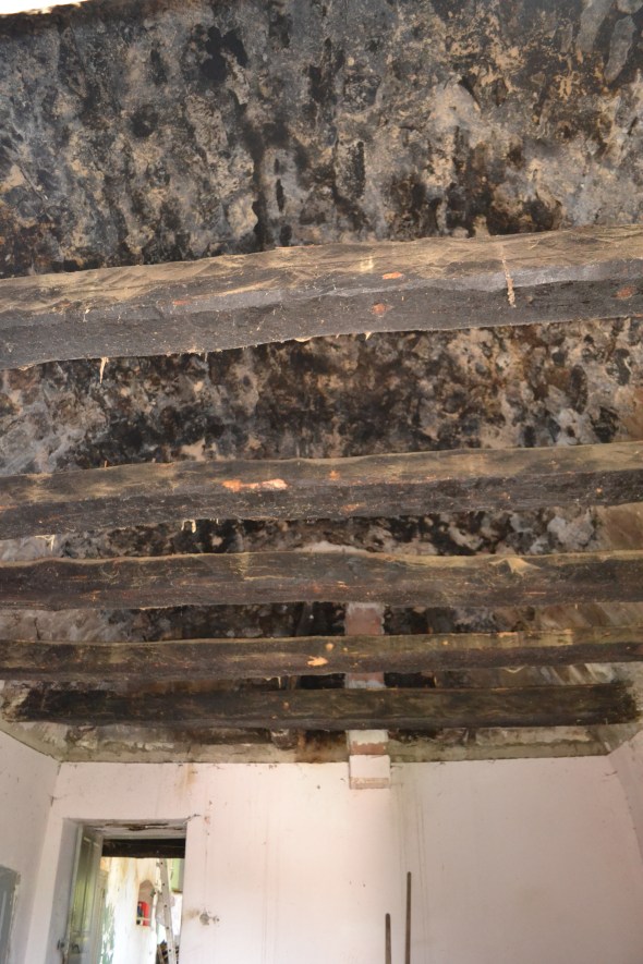 il reste les clous à trier