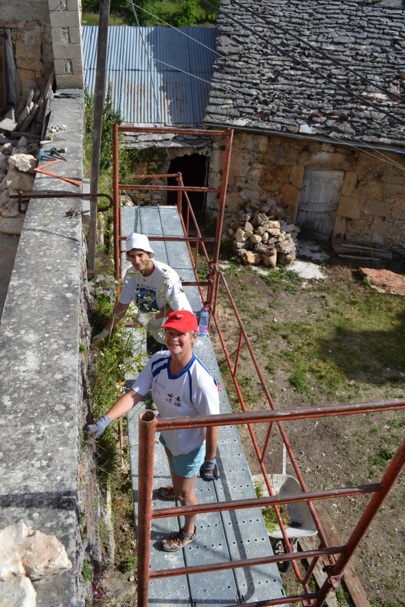 deux poules sur un mur qui picorent ... bientôt plus qu'une !
