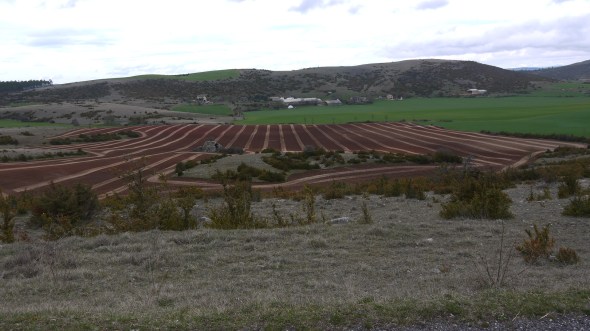 ces caussenards sont des artistes ! BANKSY a coté c'est de la daube !!!!