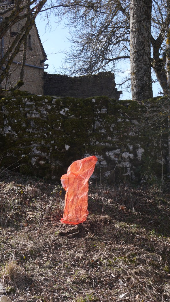 2 guigniers se cachent sous le filet de protection ...